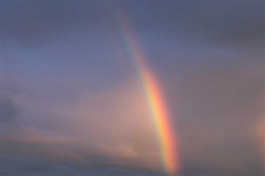 Junho é o mês do Orgulho LGBTQIA+. Você sabe por quê?