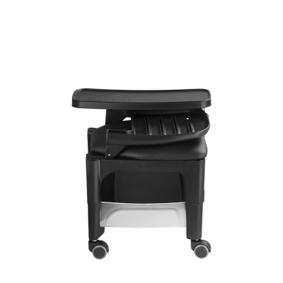 450 - Cirandinha Bari (9)