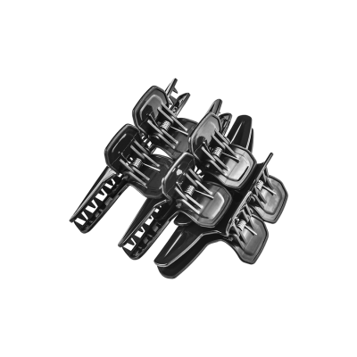 4530 - Piranha para Cabelo (2)