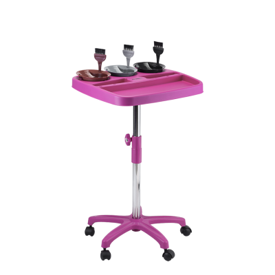 471 - Carrinho Multicolor (1)