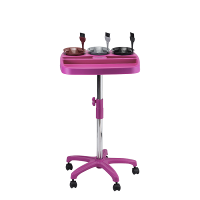 471 - Carrinho Multicolor (2)