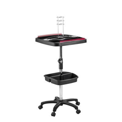 501 - Carrinho Mega Hair (4)