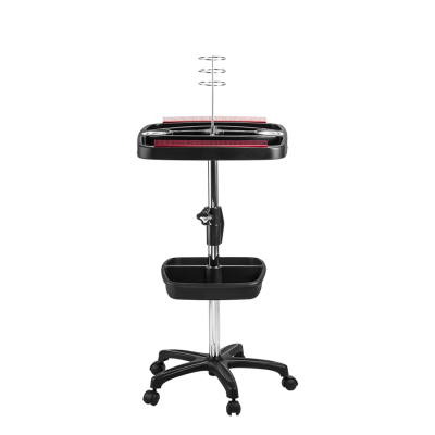 501 - Carrinho Mega Hair (5)