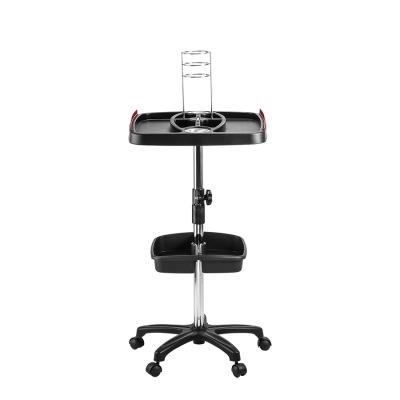 501 - Carrinho Mega Hair (6)