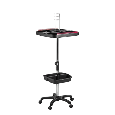 501 - Carrinho Mega Hair (7)