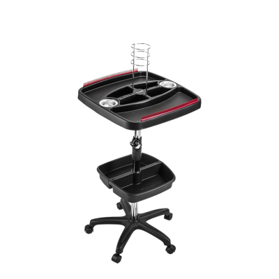 501 - Carrinho Mega Hair (8)